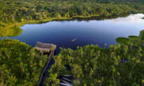 Sacha Lodge: Where the Wild Things Still Are