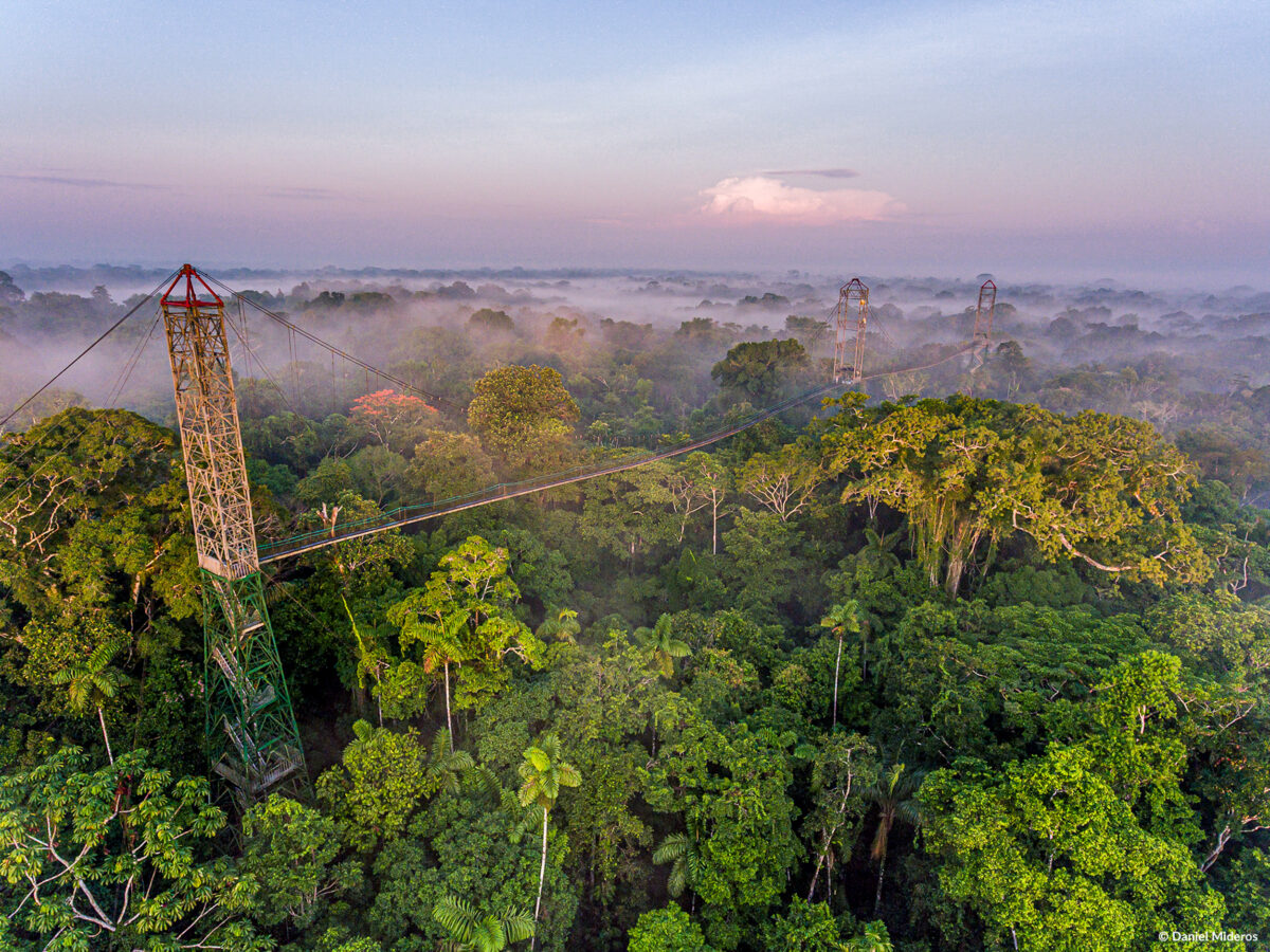 A steel catwalk 150 feet in the air stretches out across the treetops near Sacha Lodge in the rain forest of Equador (Courtesy of Sacha Lodge)