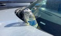 Police Officers Hit With Liquid ‘Chemical,’ Molotov Cocktails During Traffic Stop in Brooklyn