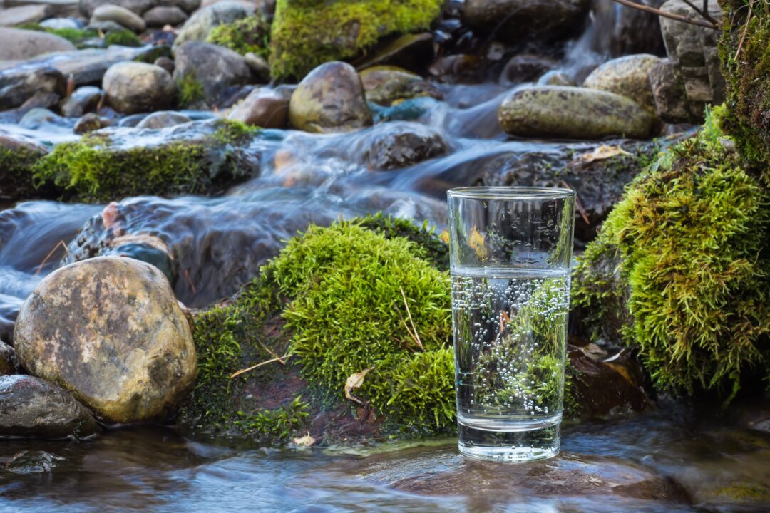 Minerals provide the very elements of good health.(ArtTim/Shutterstock)