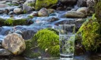 Why Most People Are Deficient in Minerals