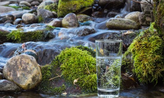 Why Most People Are Deficient in Minerals