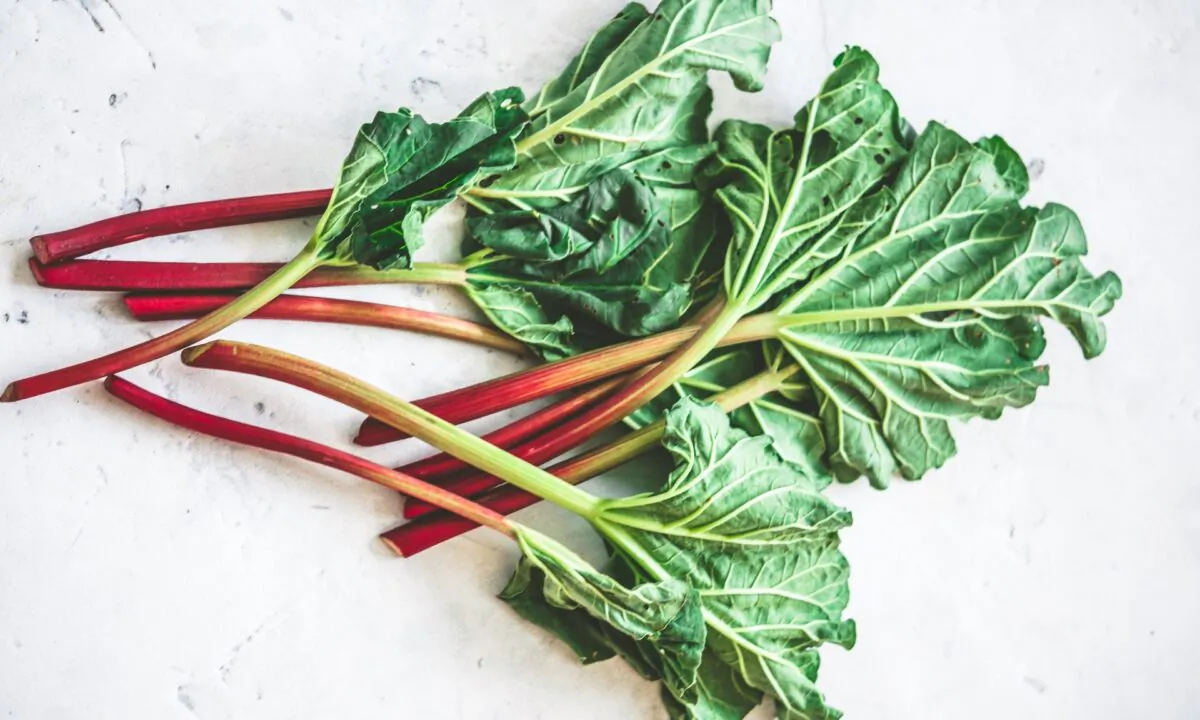 Rhubarb can come in as early as April and will be done by the end of June. (Kate Grishakova/shutterstock)