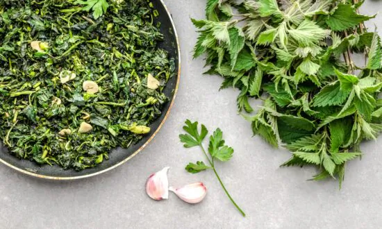 Healing Allergy Inflammation With Stinging Nettle (+Recipe)