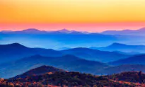 There Are Deep Roots in These Mountains
