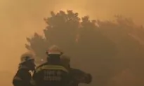 Fire on Cape Town’s Table Mountain Under Control, Smoldering