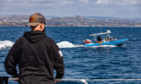 San Clemente Officials: Commercial Boats May Close Amid Proposed Emission Standards