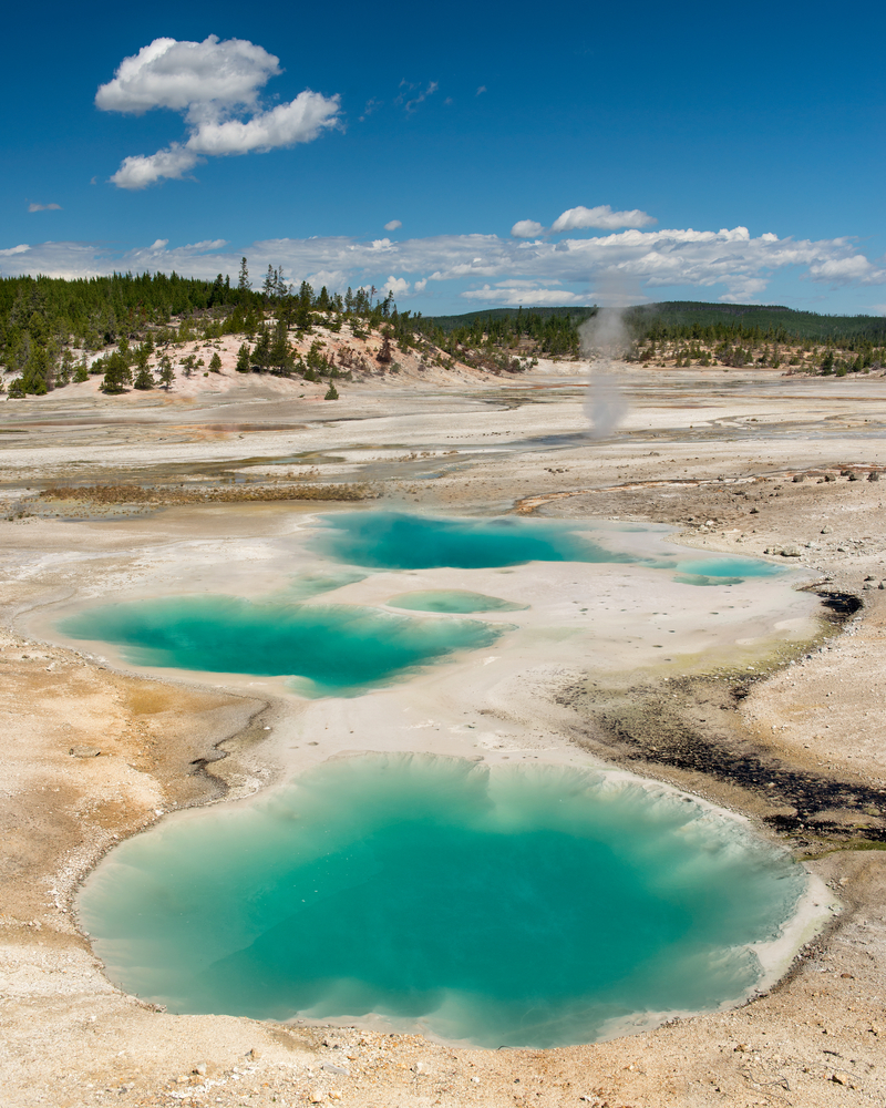 Colloidal,Pools,At,The,Norris,Geyser,Basin,Of,Yellowstone,National
