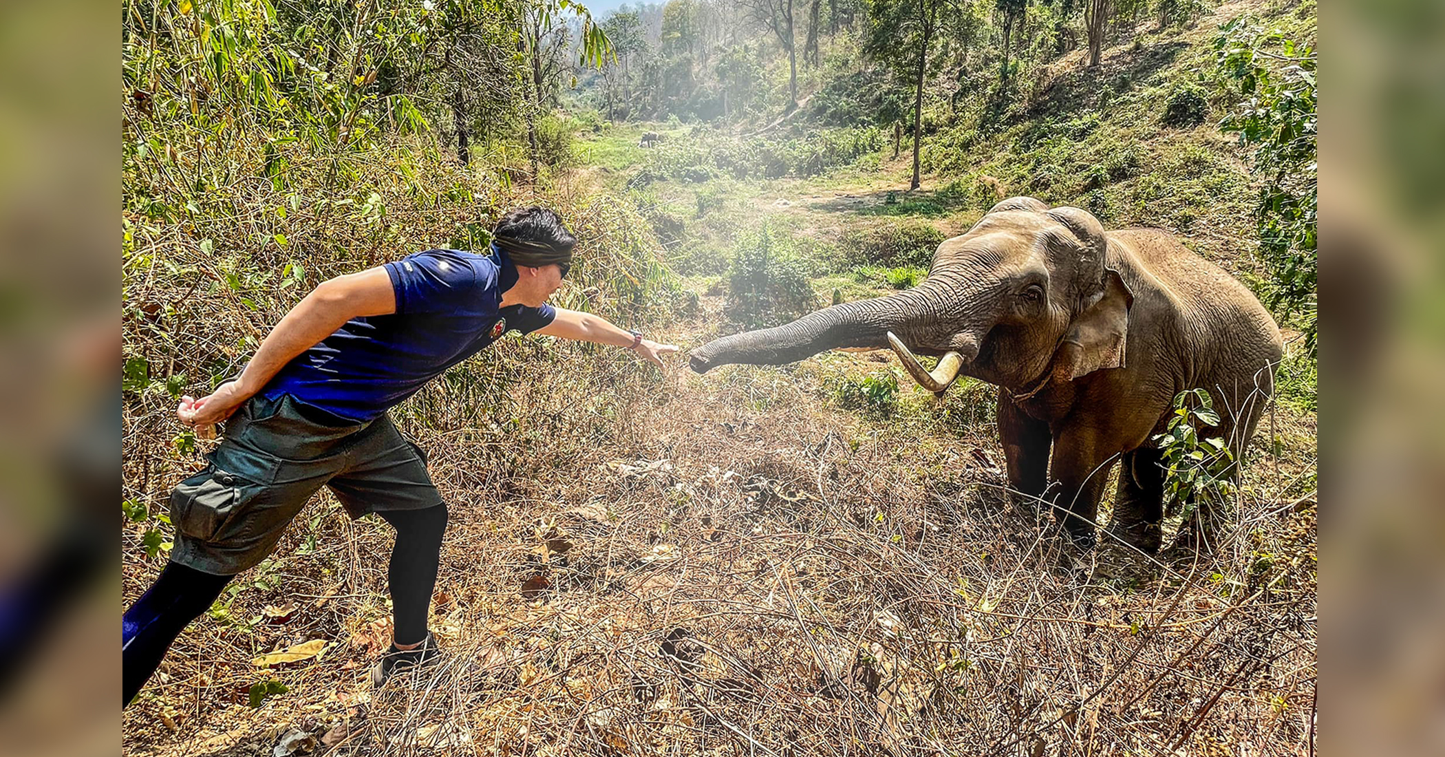 31-Year-Old Elephant Recognizes Vet Who Rescued Him From Close Death 12 Years Ago - Vimarsana News