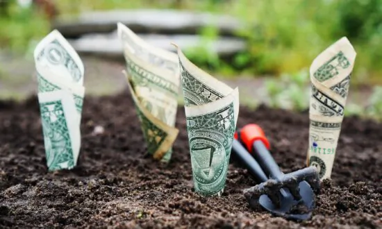 7 Types of Investments You Should Know About