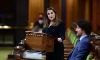 Federal Daycare Plan Sparks Concerns