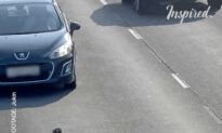 Kitten Gets Saved From Middle of Freeway
