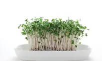 Broccoli Compound Has Dramatic Effect on People With Autism