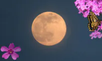 First Supermoon of 2021 Will Appear in Night Sky Monday, April 26–Here’s What You Need to Know