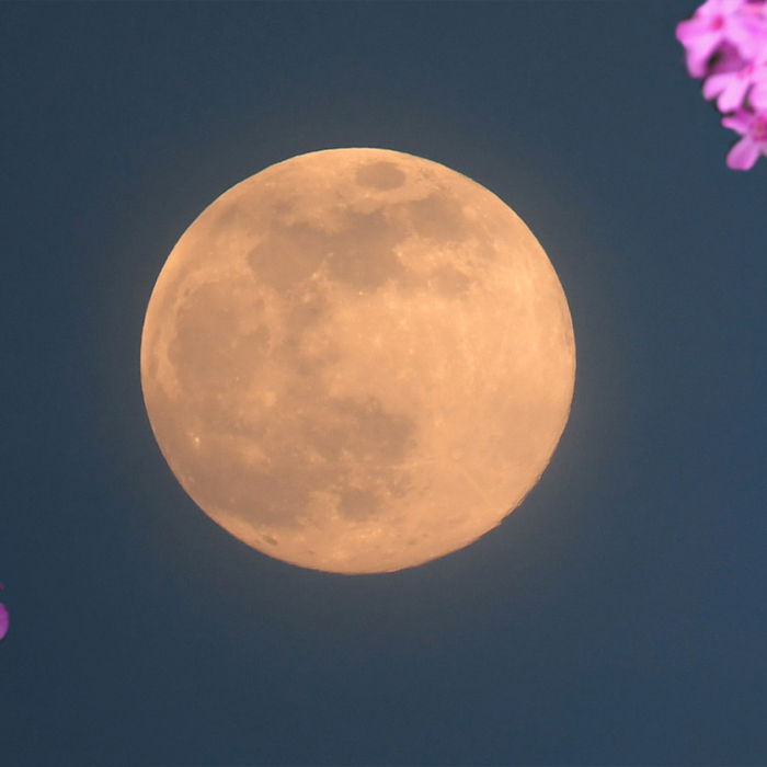 2021's first supermoon: The Pink Moon will light up the sky this month