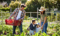 Making Family the Hub of Life Again