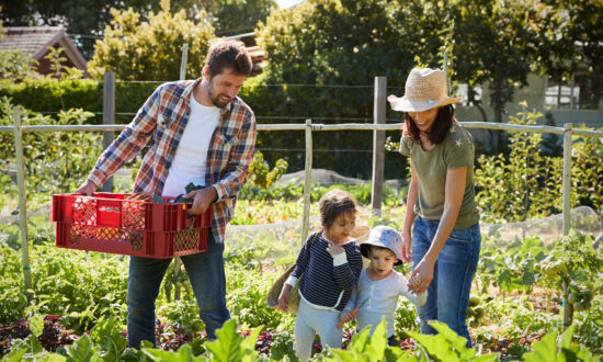 Making Family the Hub of Life Again