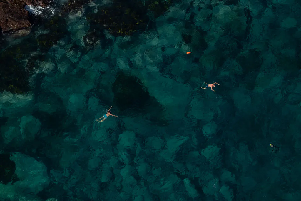 People swim in the ocean off Bondi Beach in Sydney, Australia on Apr. 22, 2020. (Photo by Cameron Spencer/Getty Images)
