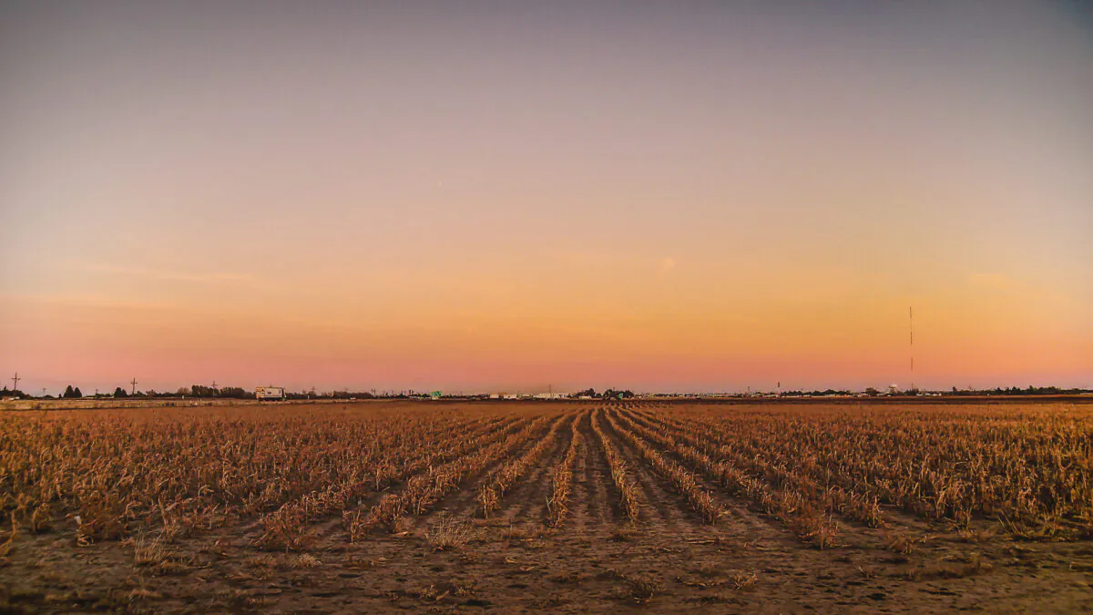 K Mitch Hodge/Unsplash