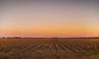 When Silicon Valley Values Meet West Texas