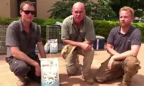 Irish Wildlife Conservationist Killed in Burkina Faso Attack