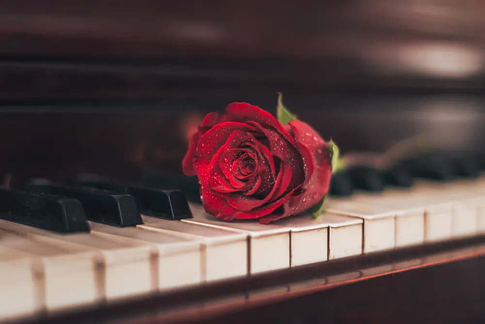 Can flowers be translated into music? (Karalee/Shutterstock)