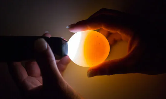Chinese Magazine Publishes Reports That Boiled Eggs Can Hatch, Netizens Question Legitimacy