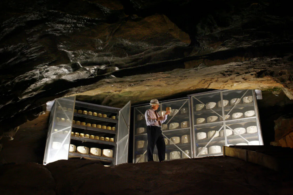 John Spencer inspects wheels of cheddar maturing in the ancient Cheddar Gorge caves. The cheddar matured here, Katherine Spencer says, is creamier than other more mature cheeses, as the humidity in the caves is so high. (Courtesy of Cheddar Gorge Cheese Company)