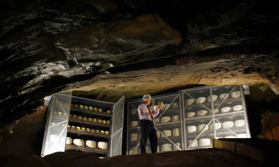 Cheddar From Cheddar: Meet the Cheesemaking Couple Who Brought a World-Famous Cheese Back to Its Home
