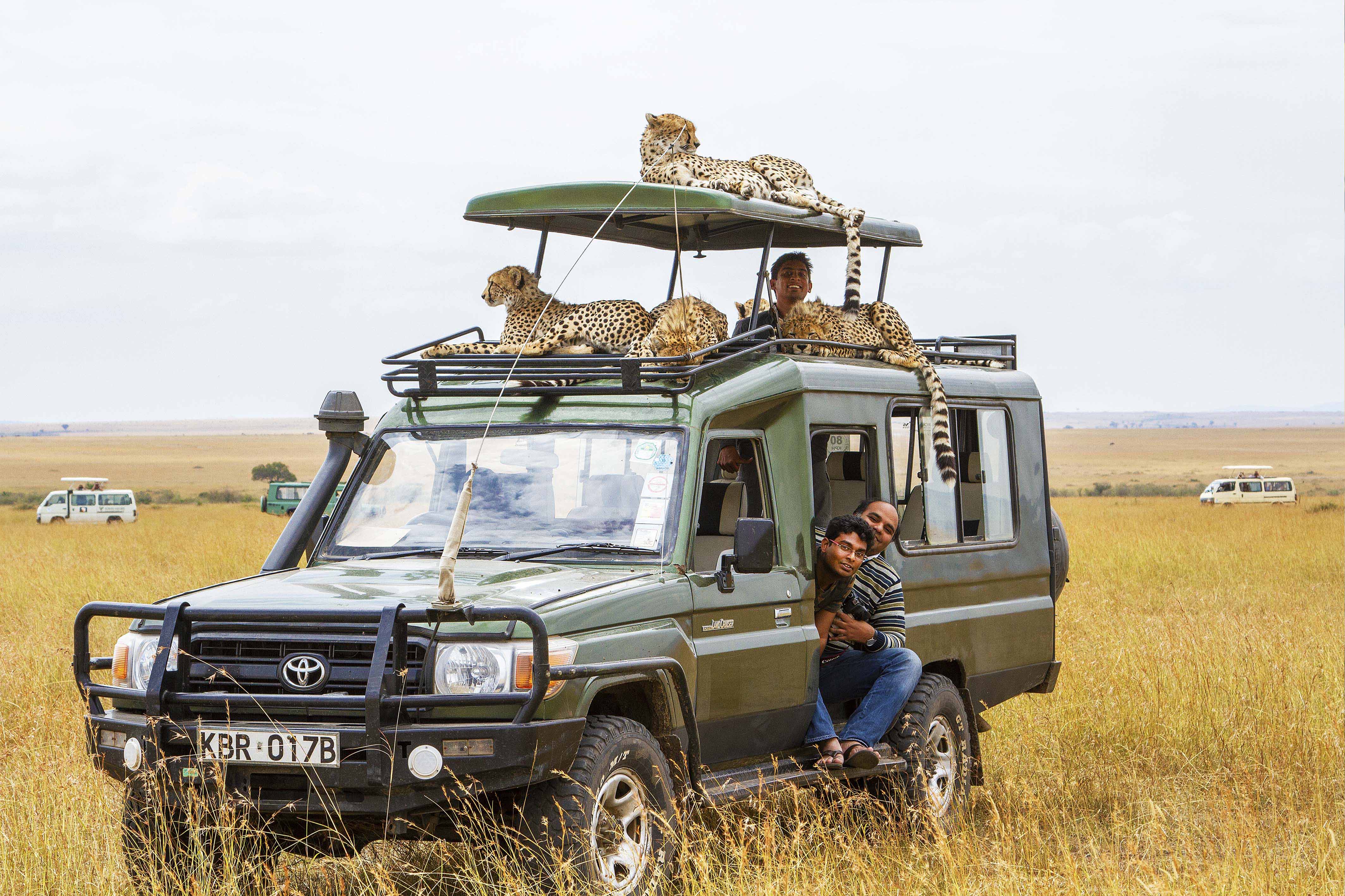 Cheetah автомобиль