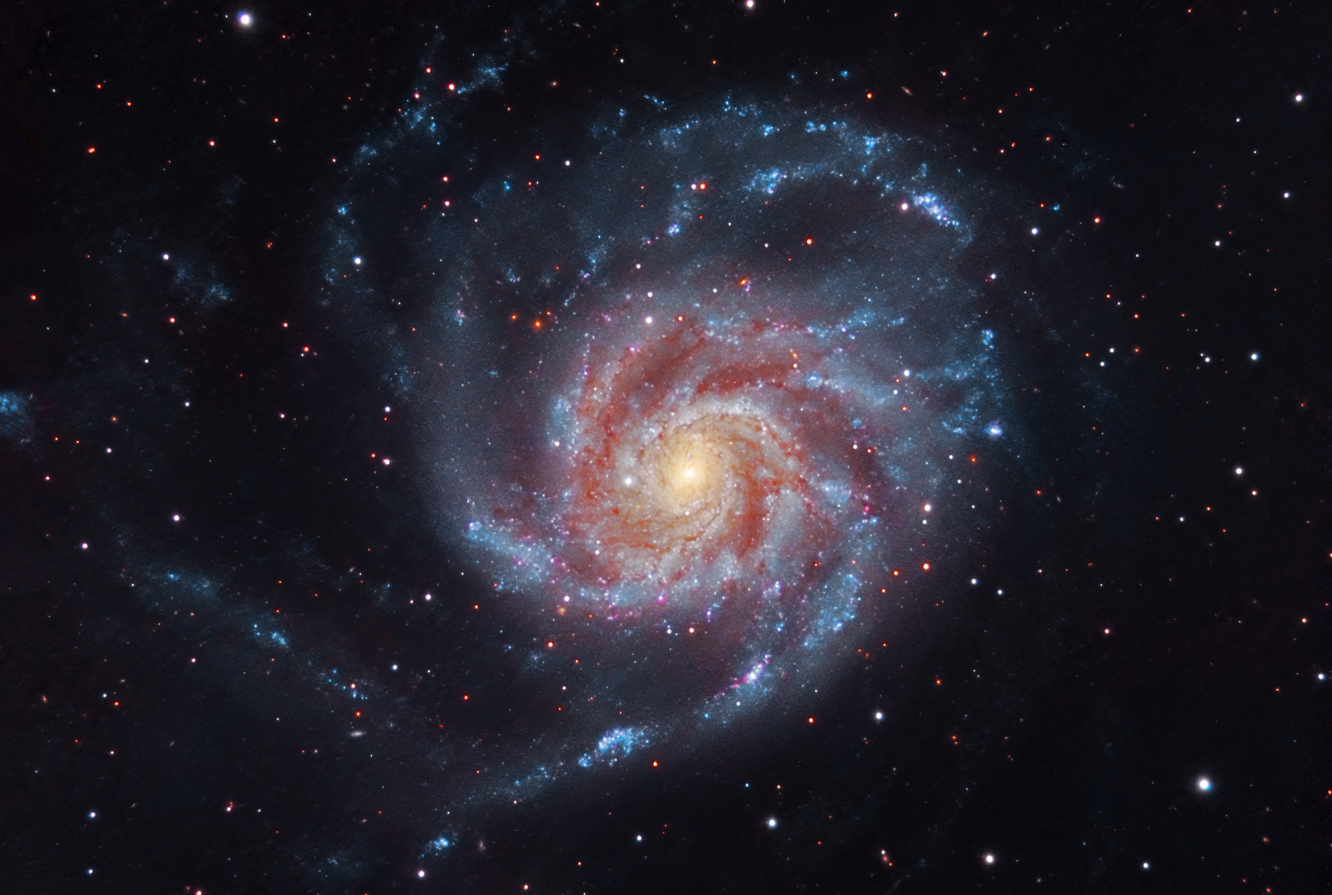 Pinwheel Galaxy, taken from Syed’s back garden. 