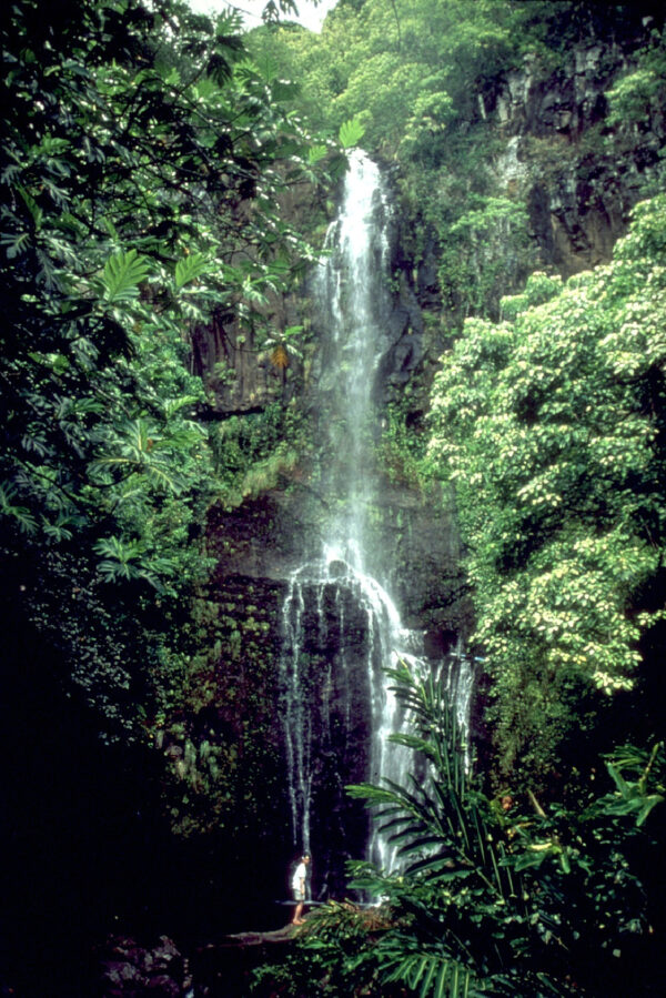 hawaii waterfall