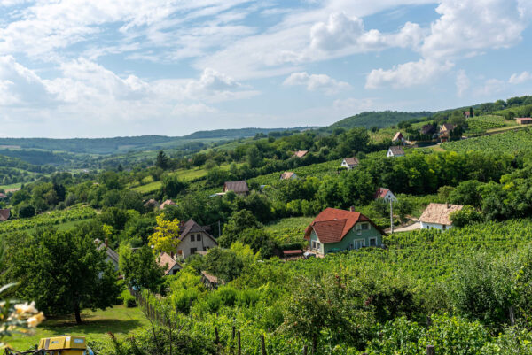 hungary winery