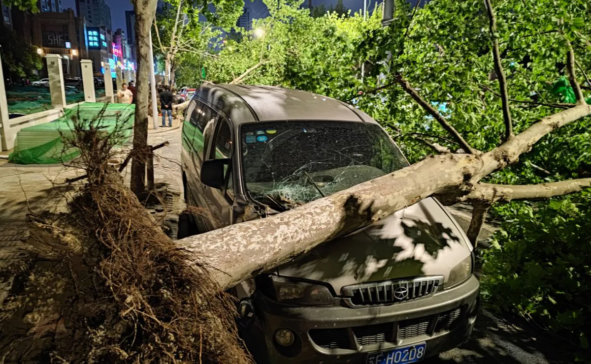 A car was damaged by a fallen tree during a violent storm in Nantong, Jiangsu province, China, on April 30, 2021. (STR/AFP via Getty Images)