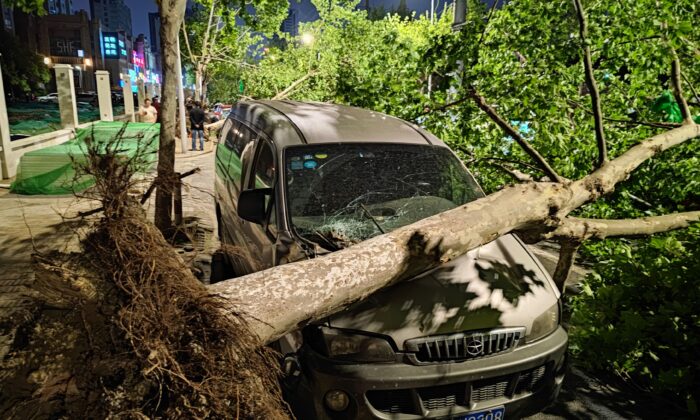 A car was damaged by a fallen tree during a violent storm in Nantong, Jiangsu province, China, on April 30, 2021. (STR/AFP via Getty Images)