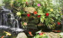 Virtual Garden Tour Showcases Southern California Gardens