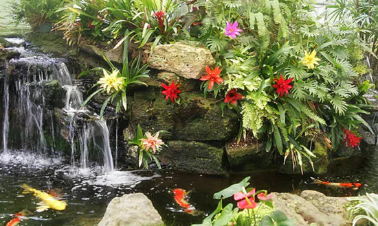 Virtual Garden Tour Showcases Southern California Gardens