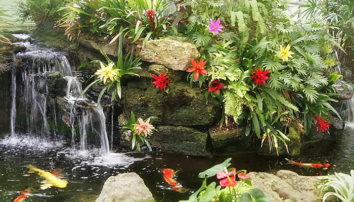 A Sherman Library and Gardens koi pond. The facility is hosting a virtual garden tour this year, which will include gardens from throughout Southern California. (Courtesy of The Sherman Library and Gardens)