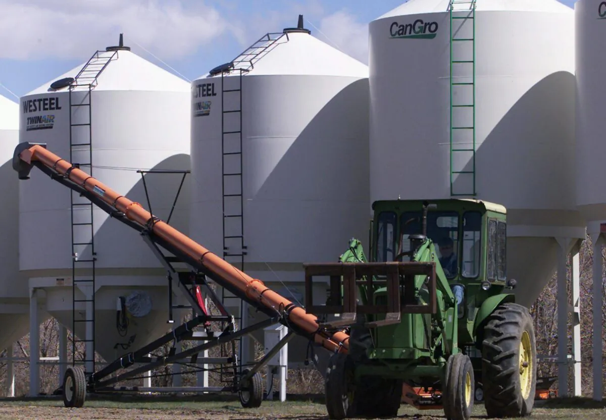 Ian Miller moves a conveyor from storage bins on his farm near Lisiuex, Saskatchewan, on May 12, 2002. (Adrian Wyld/CP Photo)