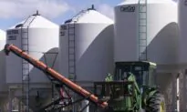 Saskatchewan Premier Criticizes Lack of Federal Action on Trade Negotiations With India