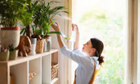 Edibles You Can Easily Add to Your Garden