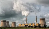 Coal Workers Union Doesn’t Always Represent Coal Worker Values