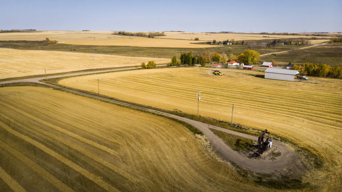 Members of the Reid family harvest their wheat crop near Cremona, Alta., on Oct. 1, 2020. Canada is the world's sixth-largest producer and one of the largest exporters of wheat, annually producing an average of over 25 million tonnes and exporting around 15 million tonnes. (The Canadian Press/Jeff McIntosh)