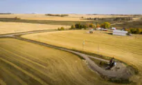Rising Food Prices and Operating Costs Are Plenty for Farmers’ Plate