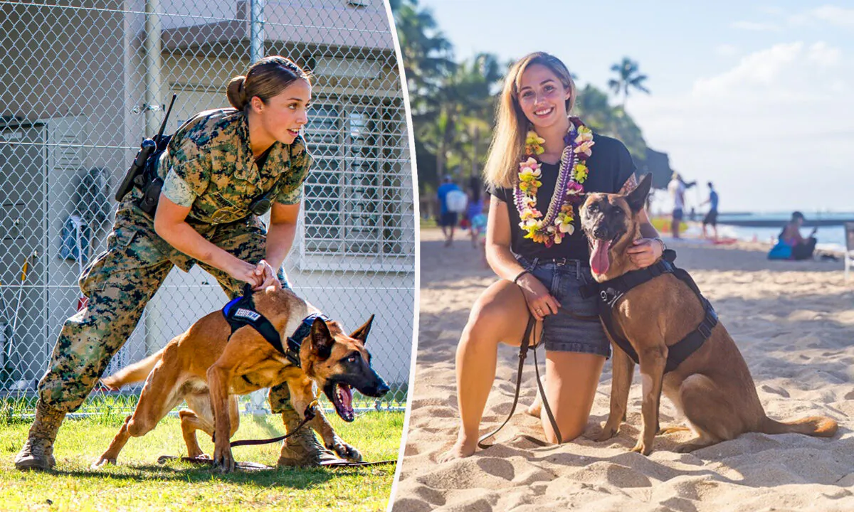 (L: Seth Rosenberg/Department of Defense; R: Courtesy of American Humane)