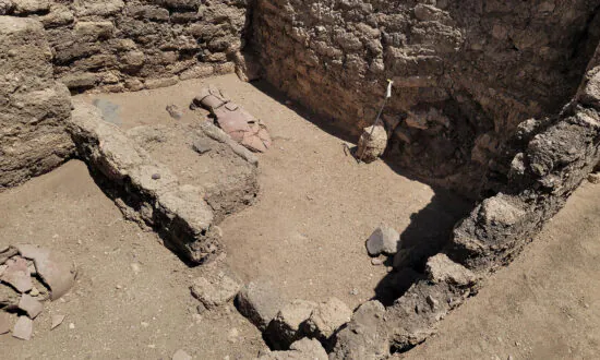 Explorer Shares About the Moment He Witnessed the Newly Found Ancient Golden City of Luxor in Egypt