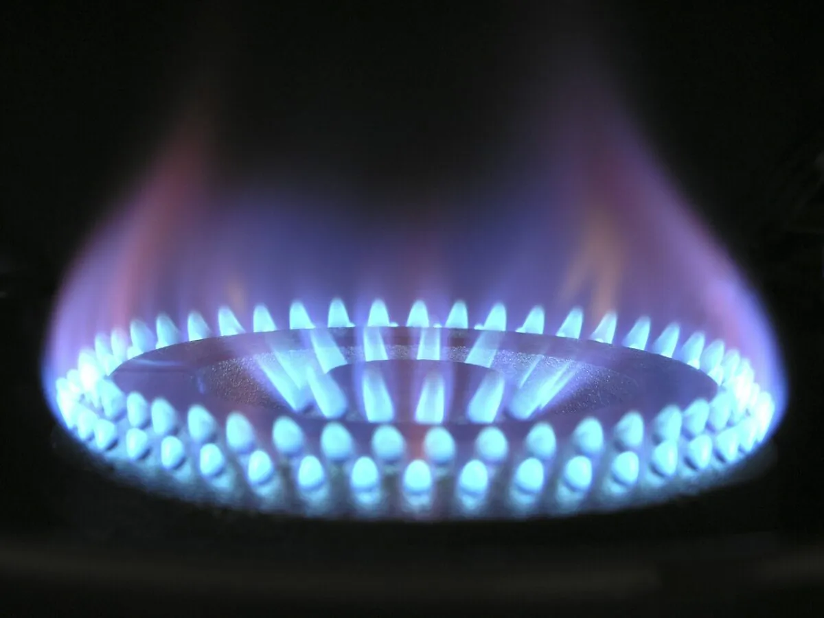 A blue flame on a gas burner. (Magnascan via Pixabay)
