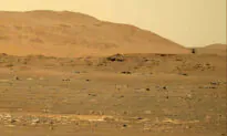 NASA Identifies Why Mars Helicopter ‘Ingenuity’ Crashed on Its Final Flight