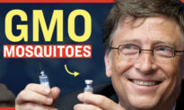 Facts Matter (May 7): Bill Gates-Funded Company Releases Genetically Modified Mosquitoes in US