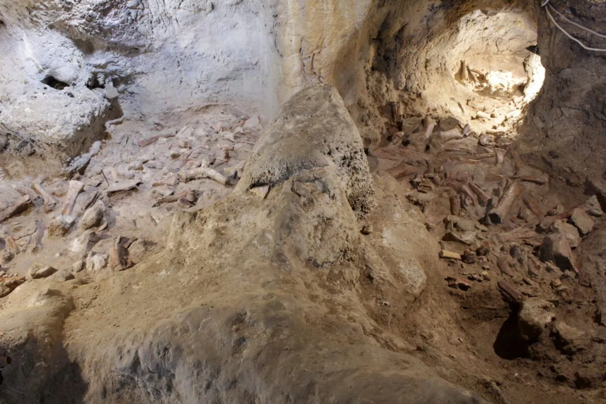 Fossilised remains, supposed to belong to Neanderthal men, are seen at a prehistoric site in Guattari cave in San Felice Circeo, Italy, 2021. (Ministry of Cultural Heritage and Activities and Tourism/ Handout via Reuters)
